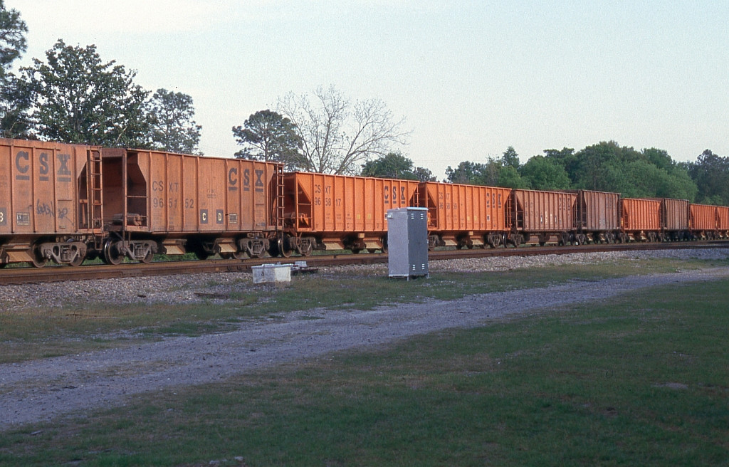 Different streak of orange 